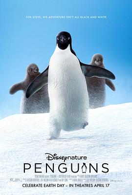 企鹅 Penguins