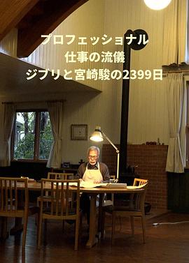 Professional 行家本色 吉卜力与宫崎骏的2399天 ジブリと宮﨑駿の2399日