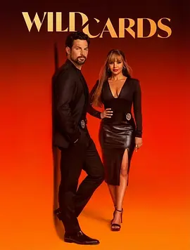 百变王牌 第三季 Wild Cards Season 3