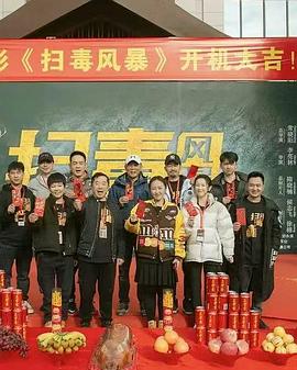 扫毒风暴