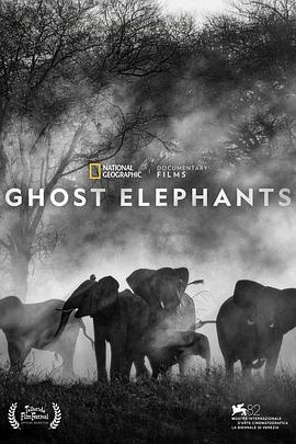 追寻幽灵大象 Ghost Elephants