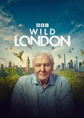 狂野伦敦 Wild London