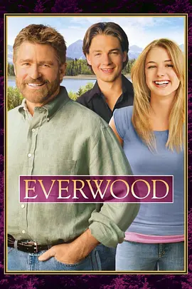 雪山镇  第四季 Everwood Season 4
