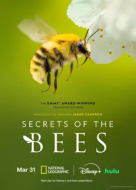 蜜蜂的秘密 Secrets of the Bees