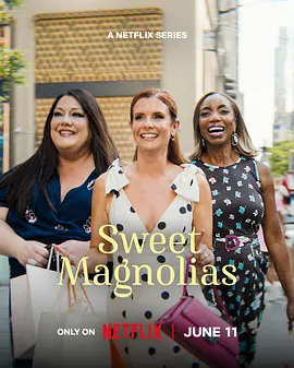 甜木兰 第五季 Sweet Magnolias Season 5