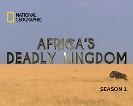 非洲致命国度 Africa's Deadly Kingdom