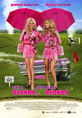金发尤物 Blonde and Blonder