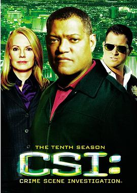 犯罪现场调查 第十季 CSI: Crime Scene Investigation Season 10