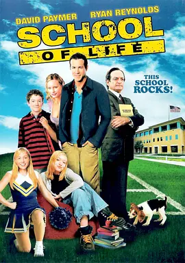 新扎老师 School of Life
