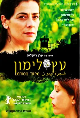 柠檬树 עץ לימון