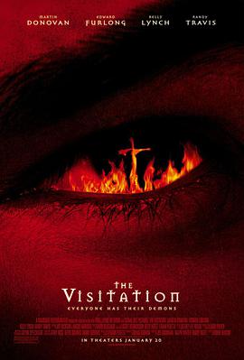 天罚 The Visitation