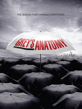 实习医生格蕾  第六季 Grey's Anatomy Season 6