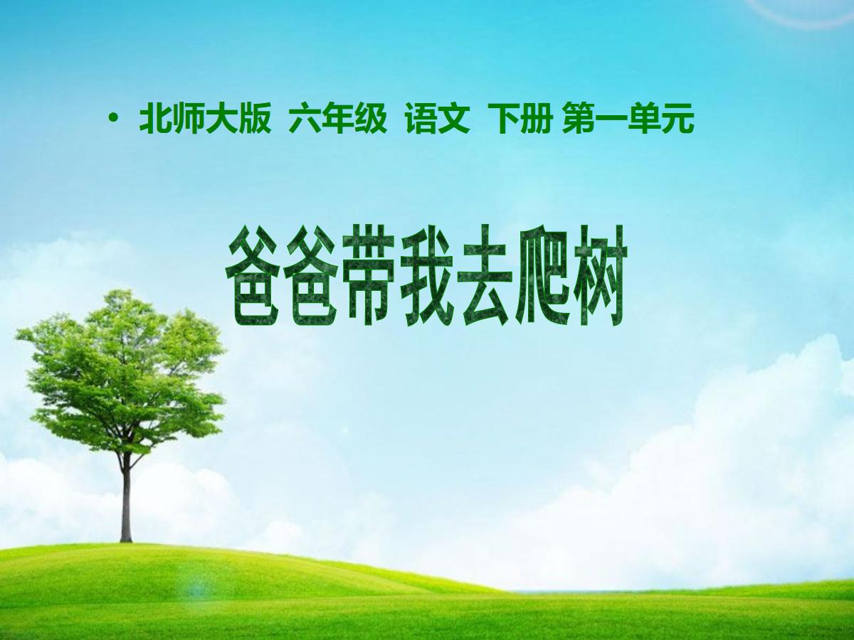 《爸爸带我去爬树》PPT课件