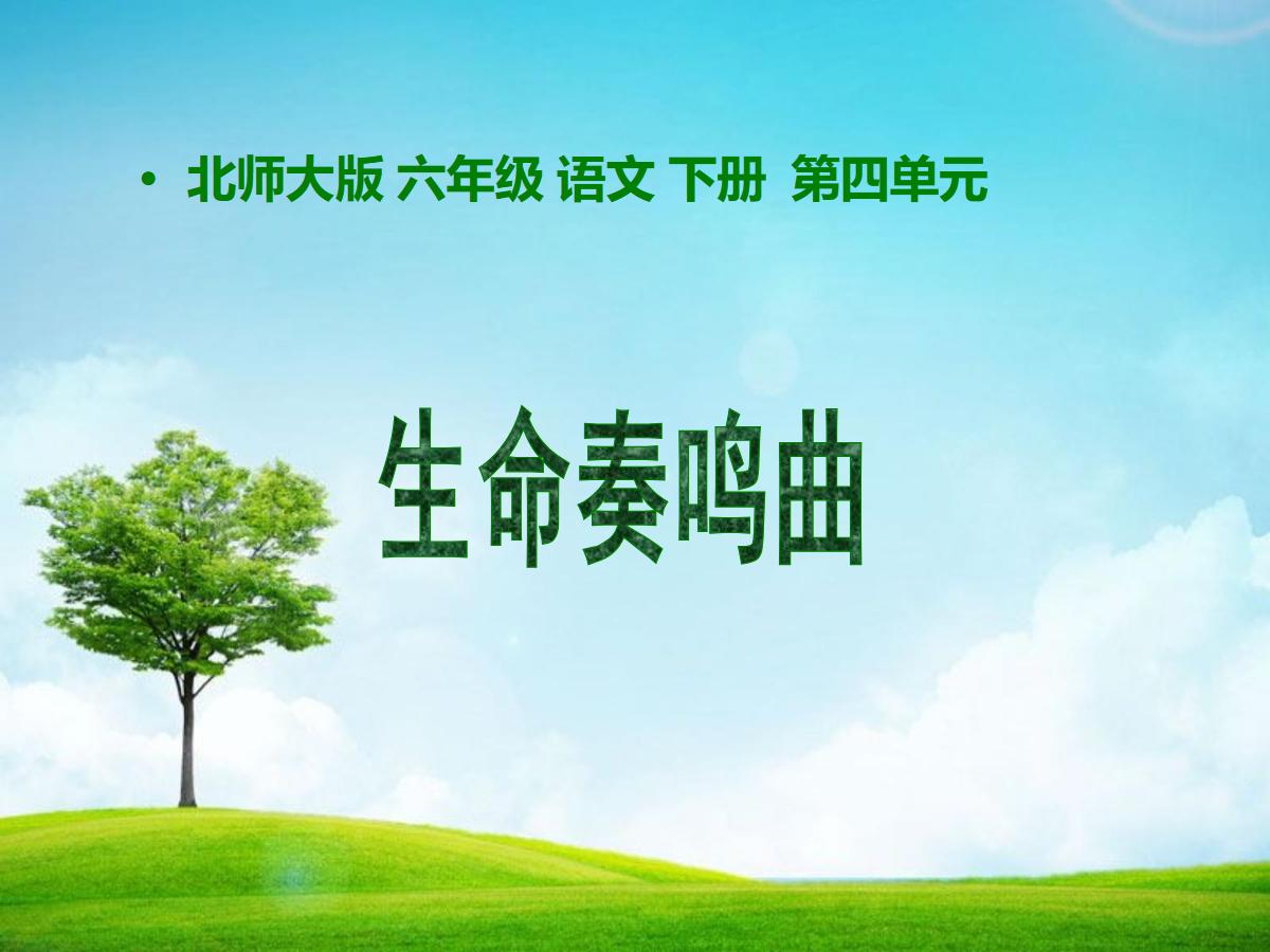 《生命奏鸣曲》PPT课件