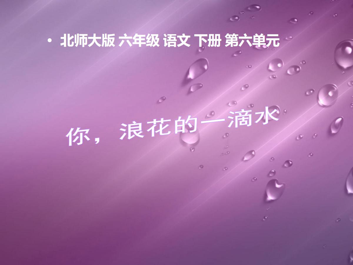 《你，浪花的一滴水》PPT课件
