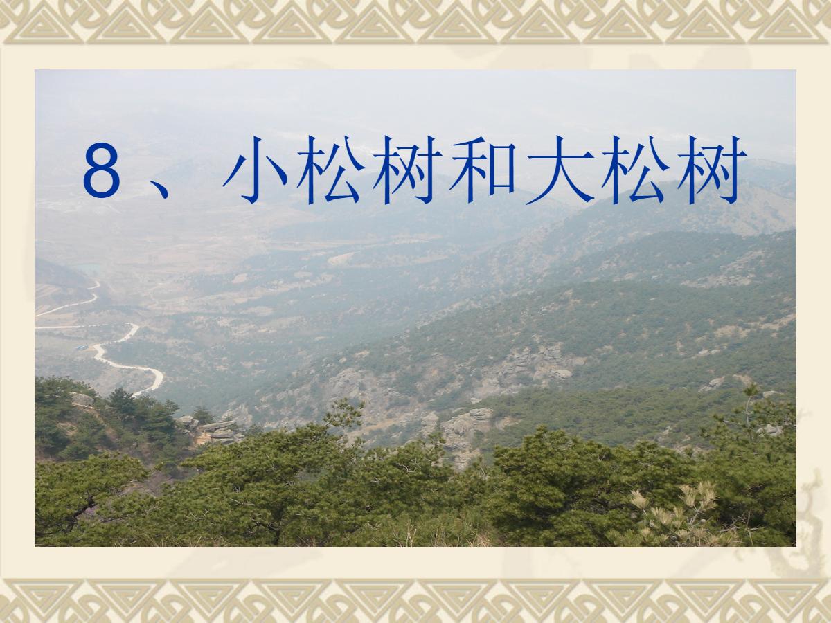 《小松树和大松树》PPT课件2