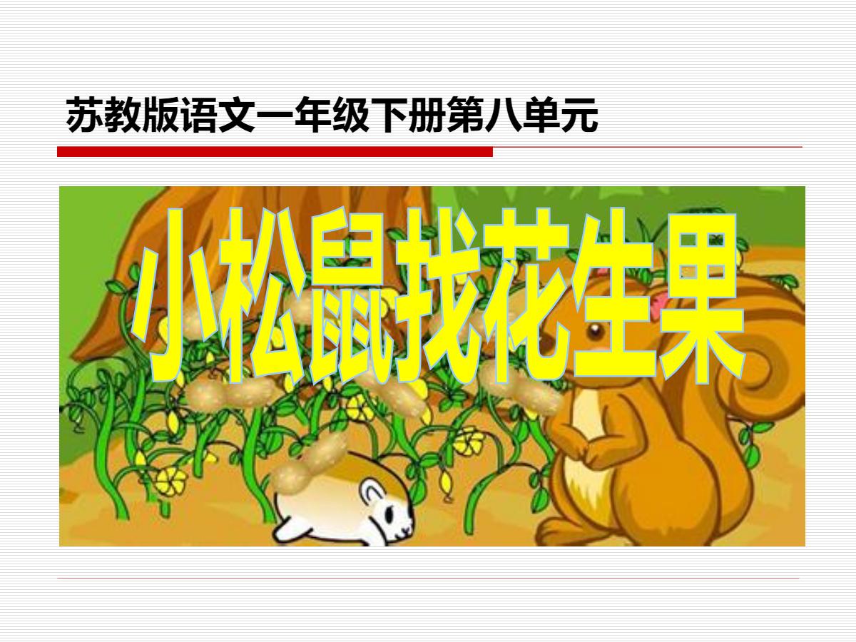 《小松鼠找花生果》PPT课件