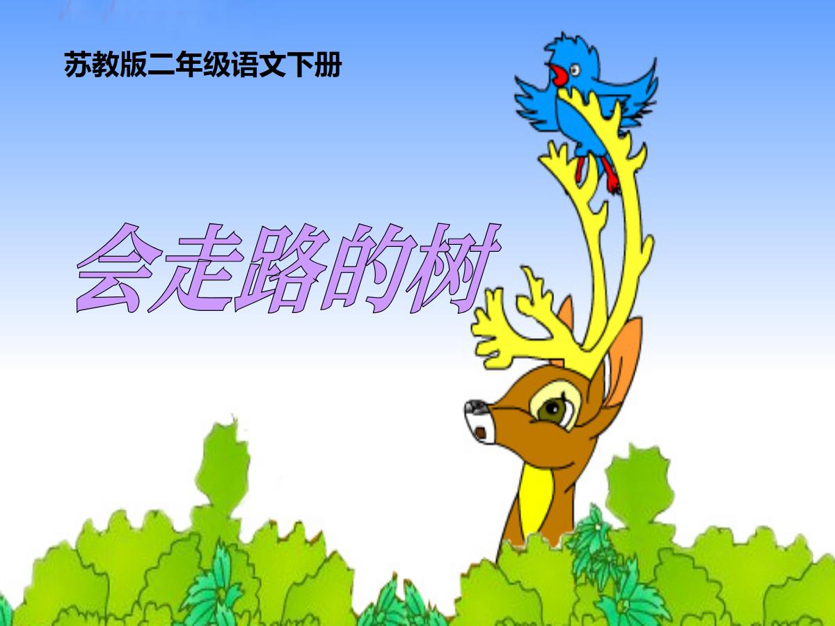 《会走路的树》PPT课件
