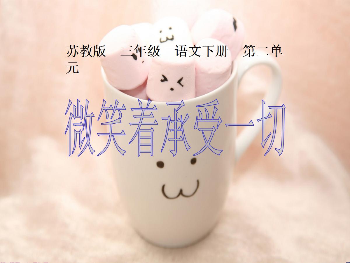 《微笑着承受一切》PPT课件2