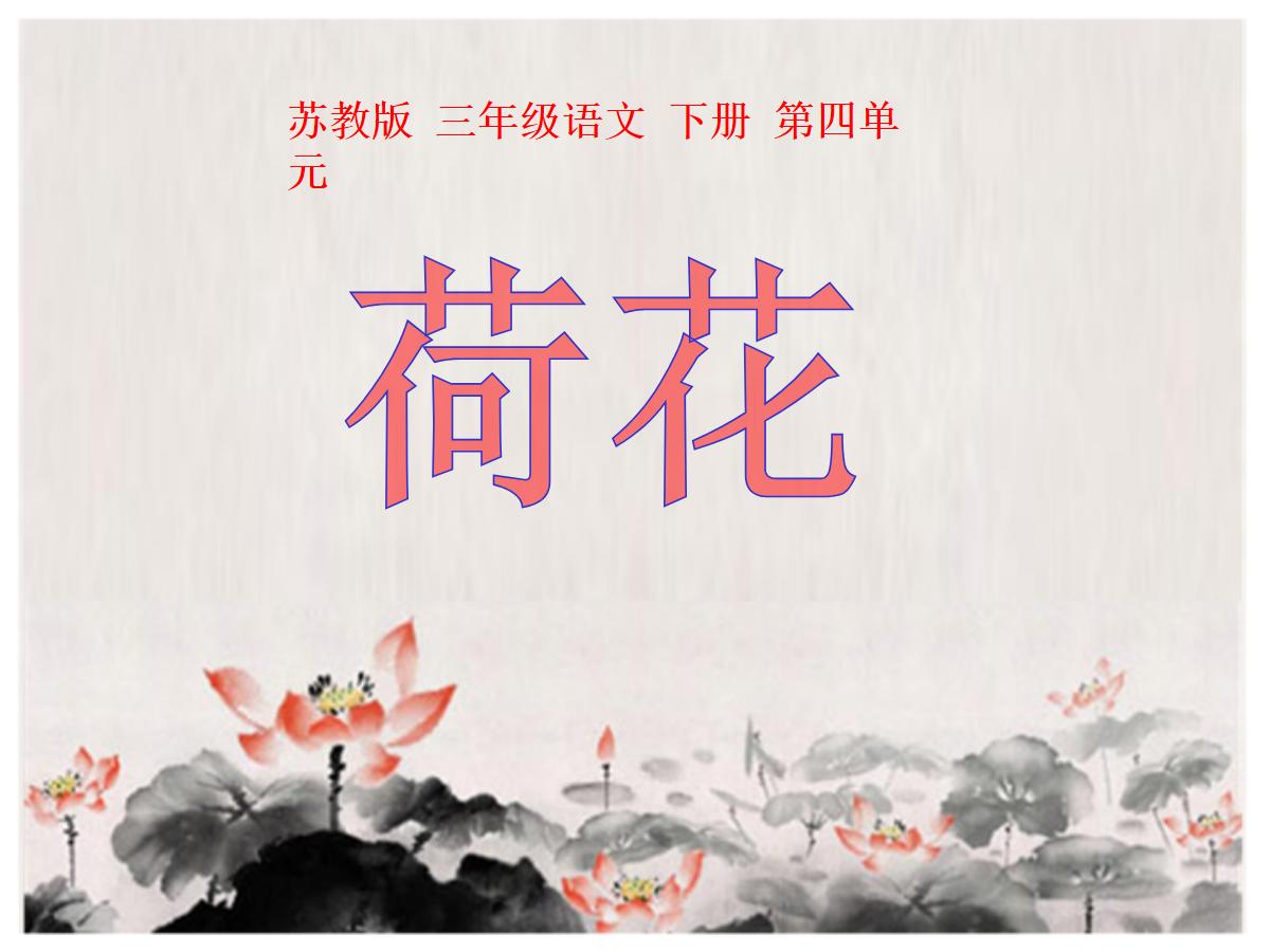 《荷花》PPT课件5