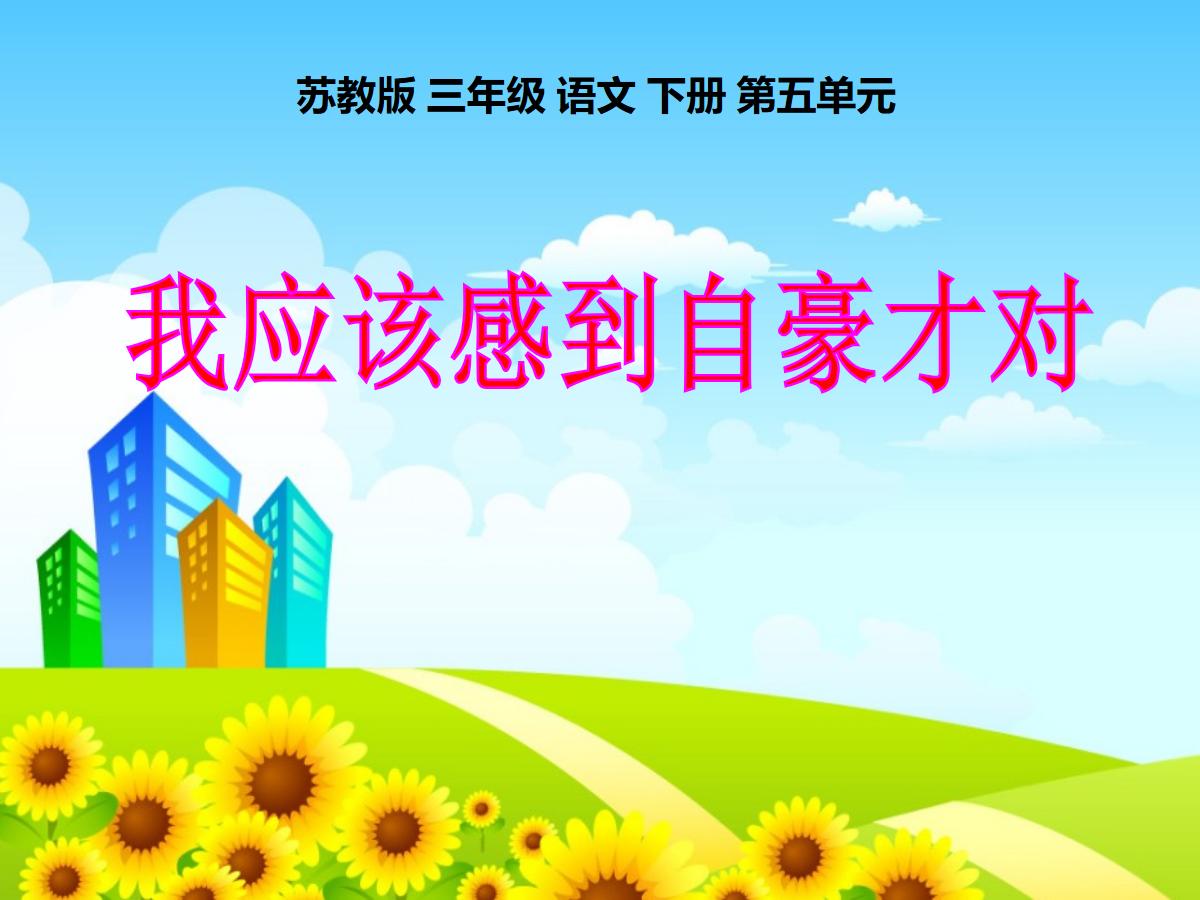 《我应该感到自豪才对》PPT课件2