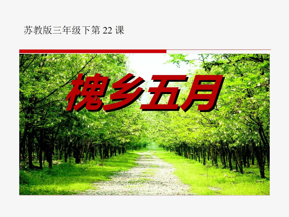 《槐乡五月》PPT课件