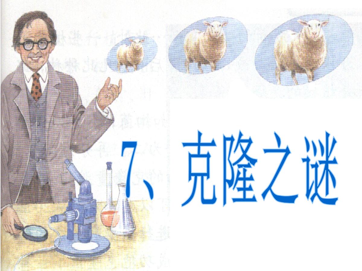 《克隆之谜》PPT课件2