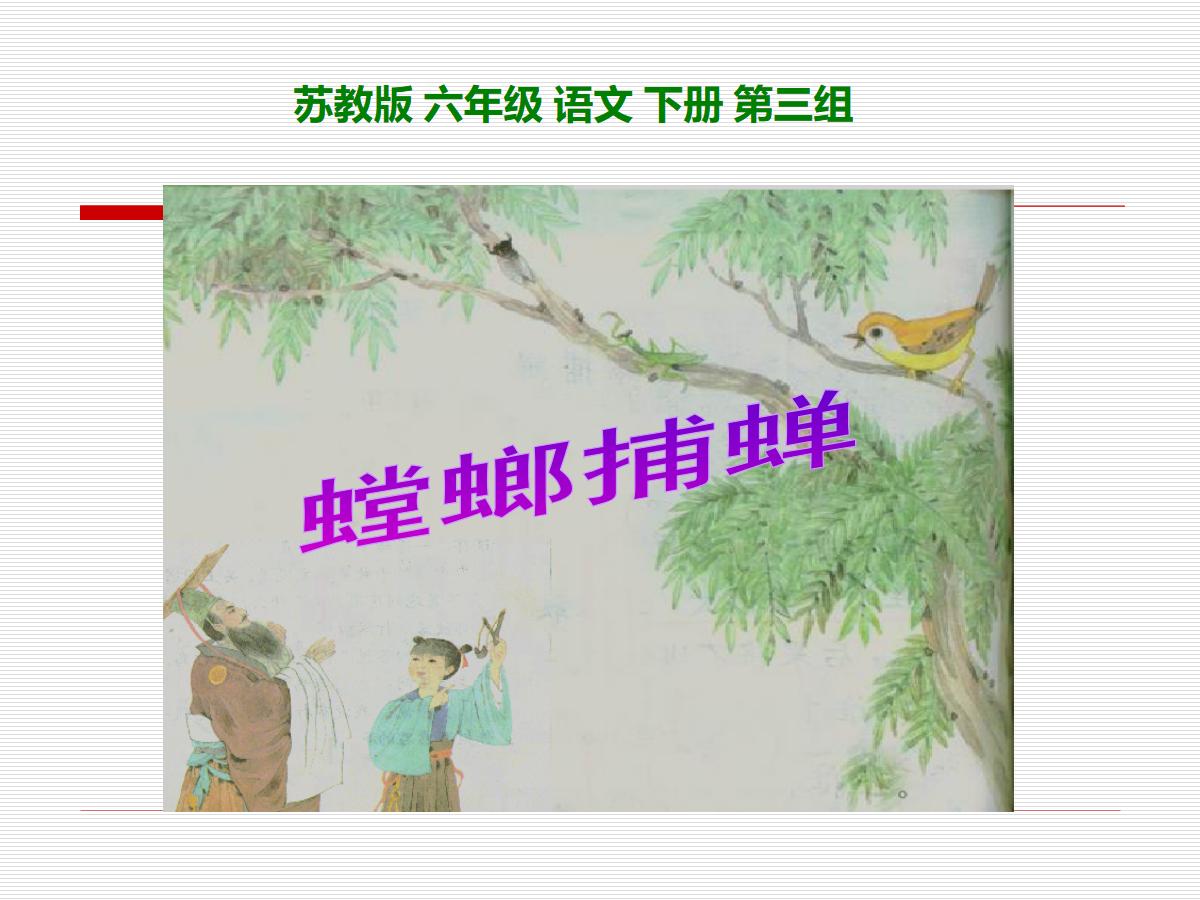《螳螂捕蝉》PPT课件3