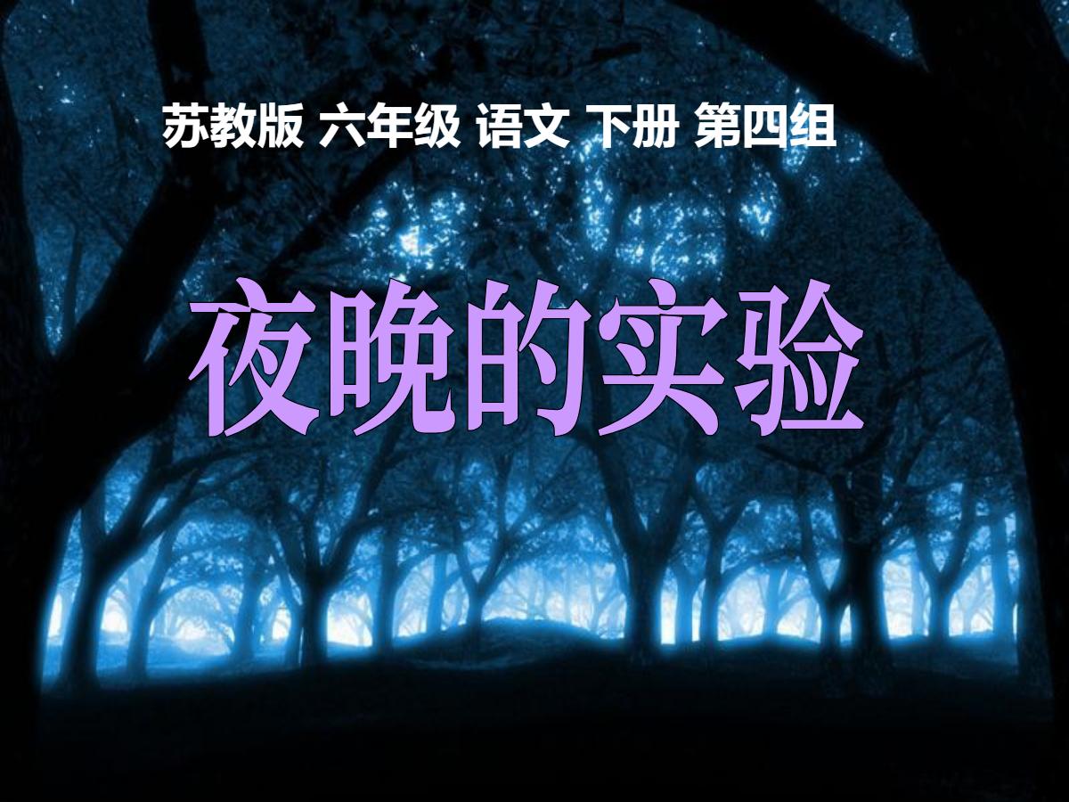 《夜晚的实验》PPT课件