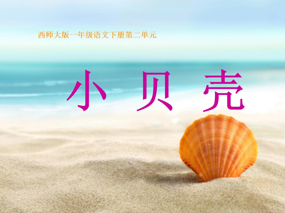 《小贝壳》PPT课件