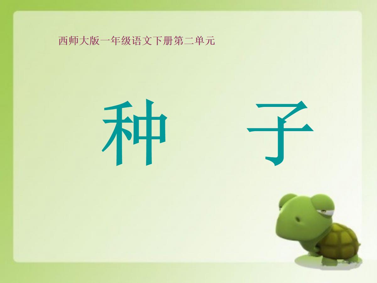 《种子》PPT课件