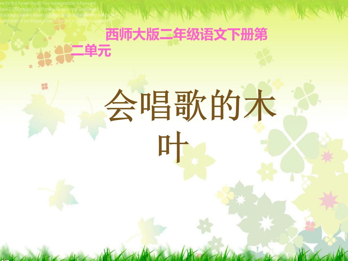 《会唱歌的木叶》PPT课件
