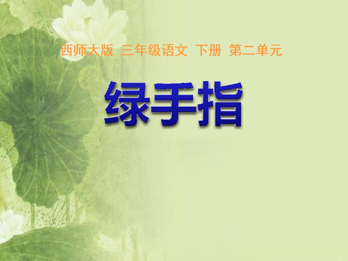 《绿手指》PPT课件2