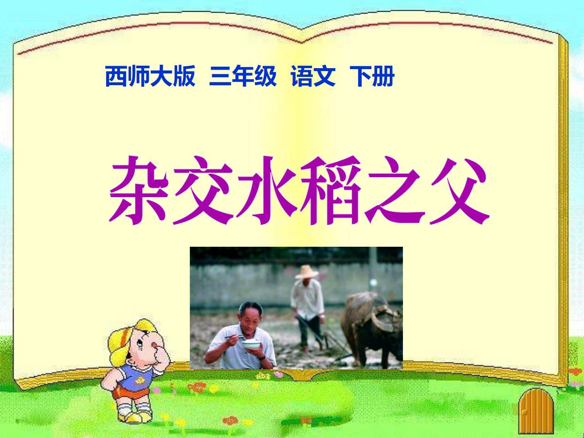 《杂交水稻之父》PPT课件