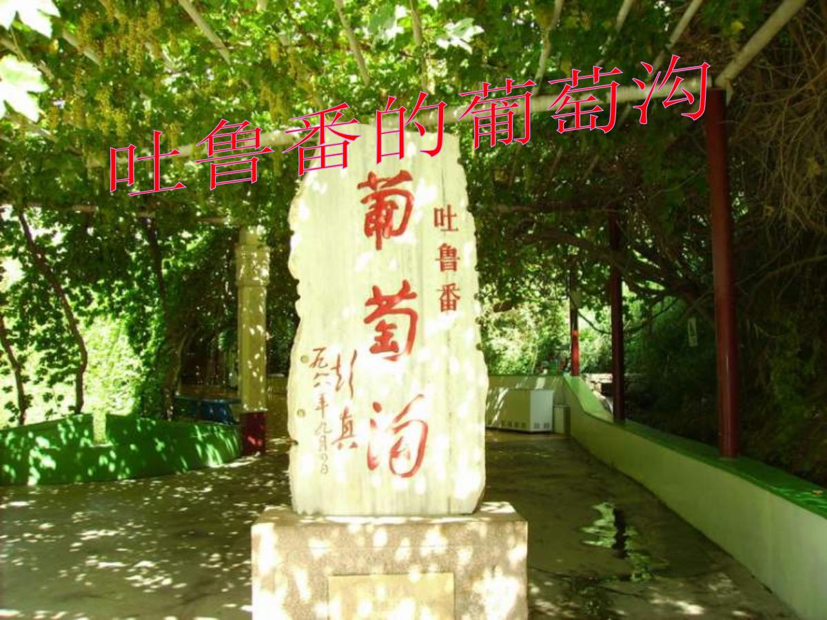 《吐鲁番的葡萄沟》PPT课件2