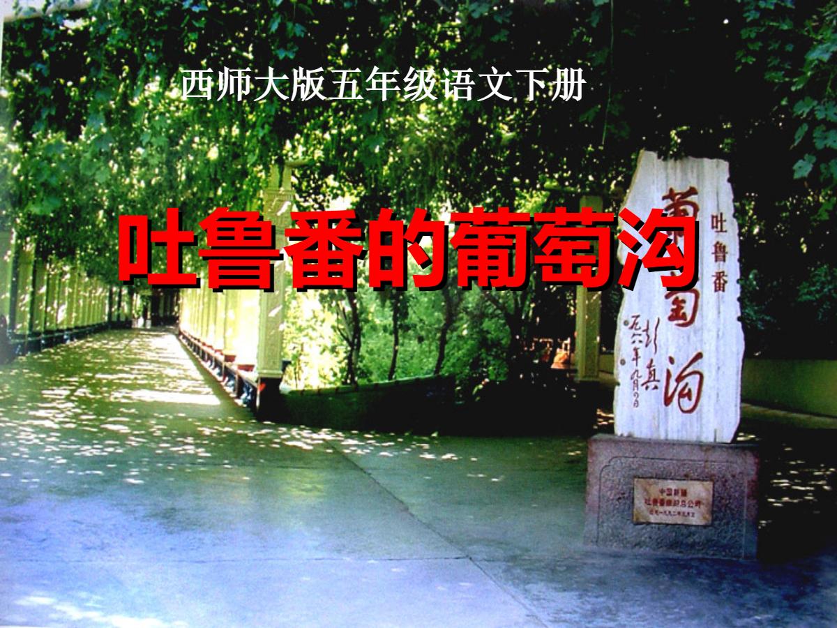 《吐鲁番的葡萄沟》PPT课件3