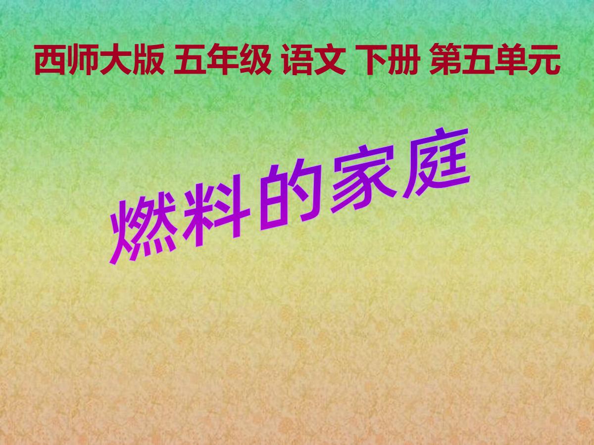 《燃料的家庭》PPT课件