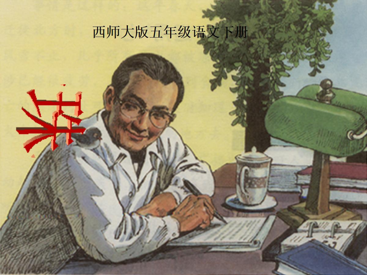 《珍珠鸟》PPT课件7