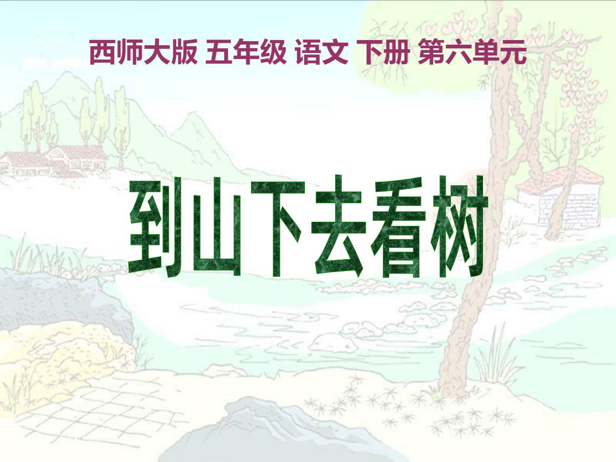 《到山下去看树》PPT课件