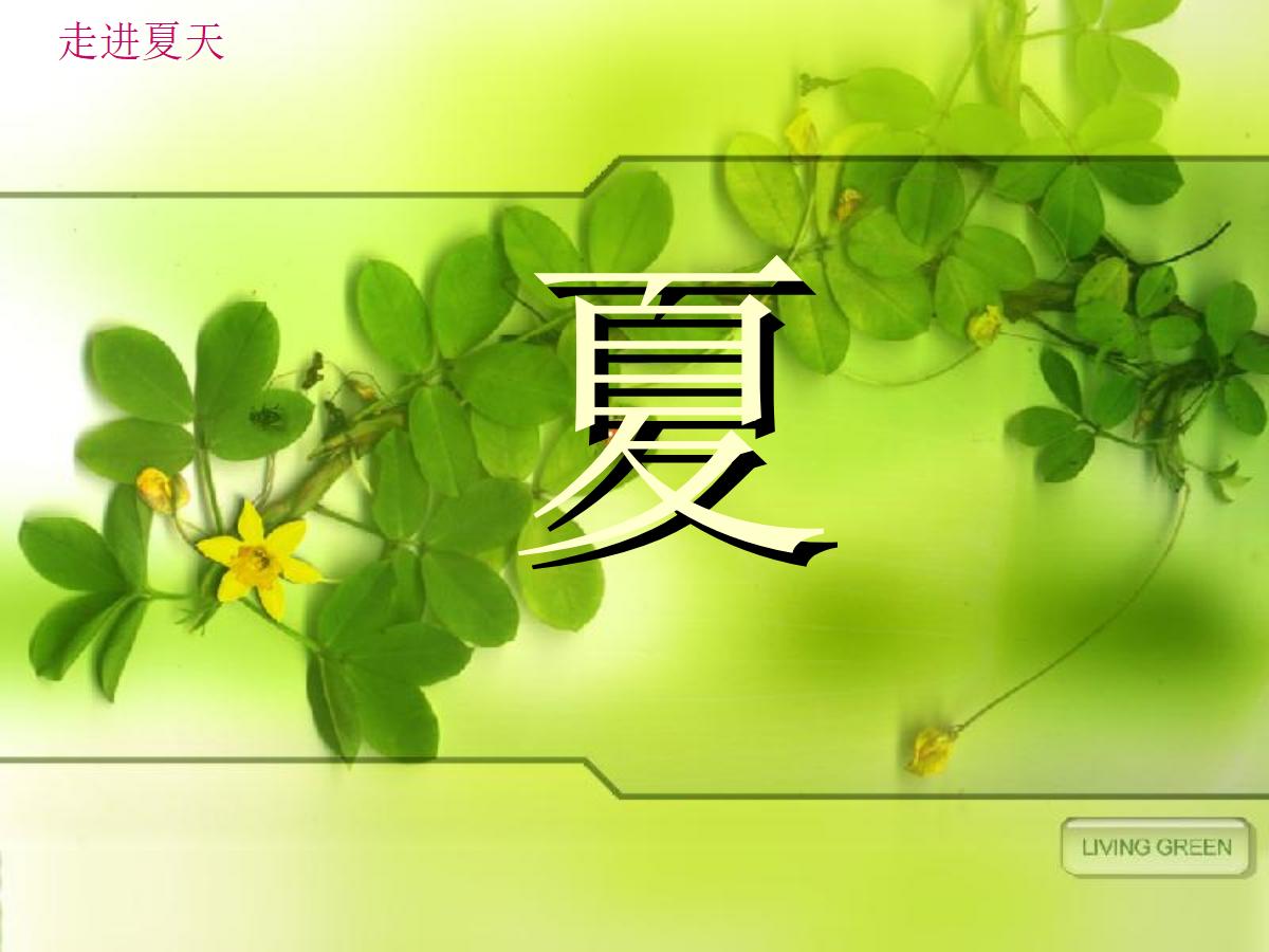 《夏》PPT课件2