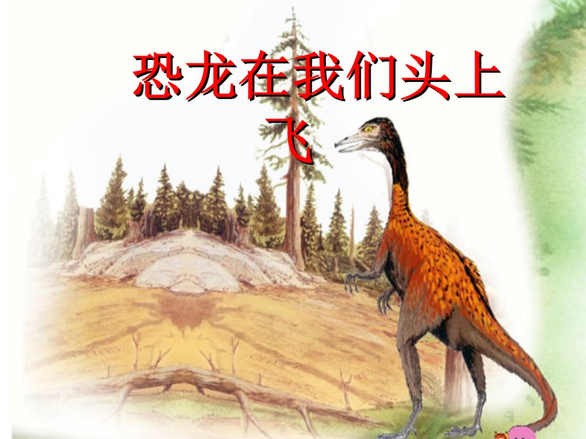 《恐龙在我们头上飞》PPT课件2