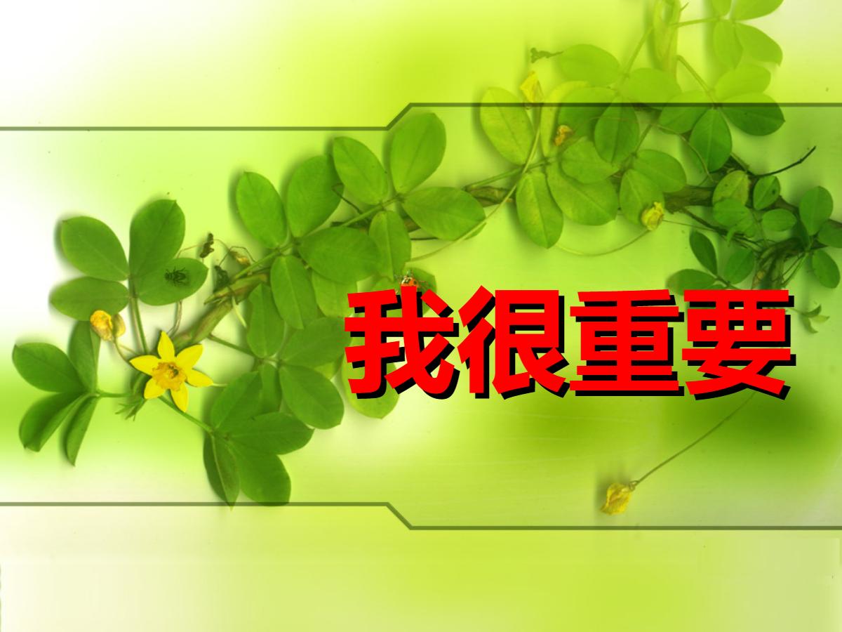 《我很重要》PPT课件2
