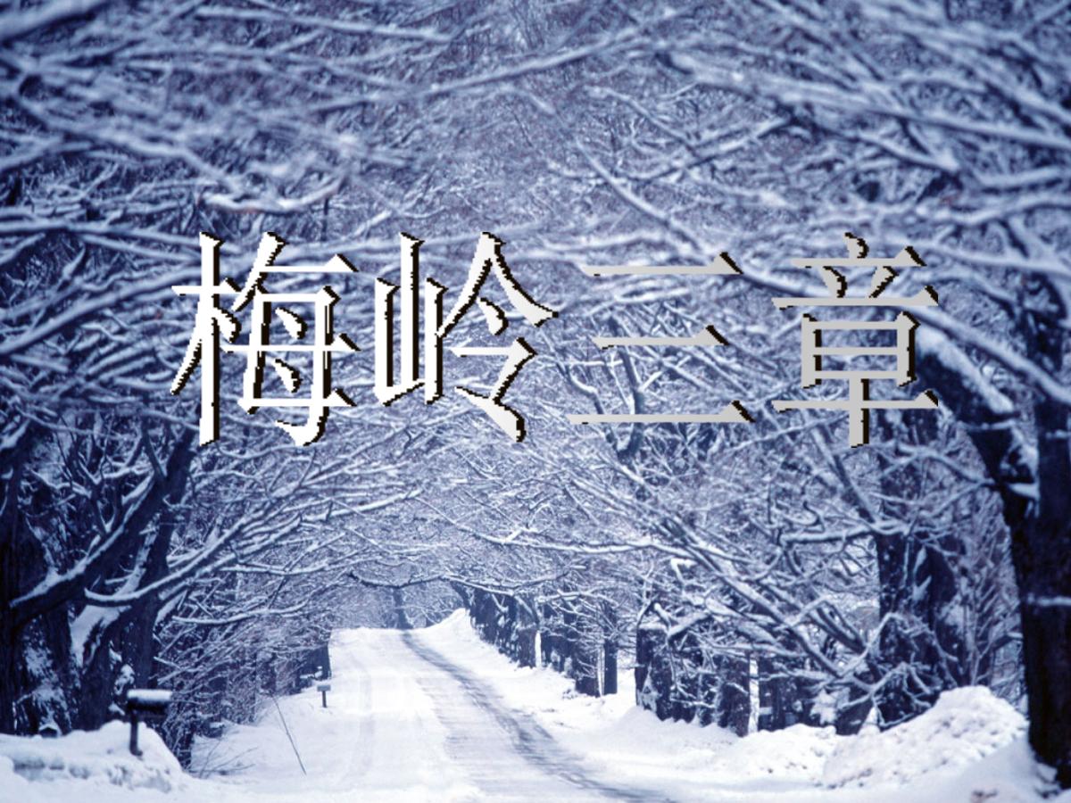 《梅岭三章》PPT课件