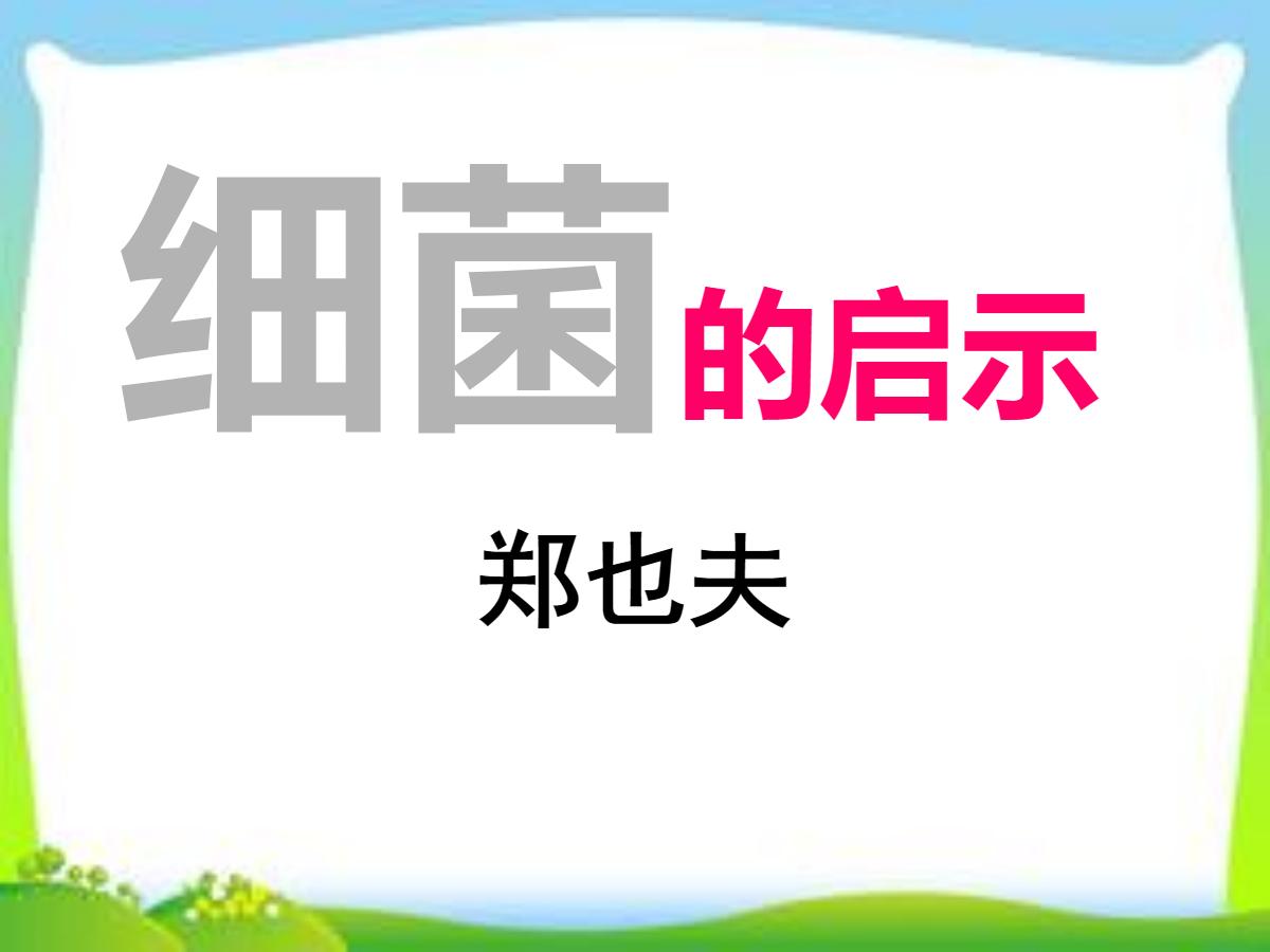 《细菌的启示》PPT课件