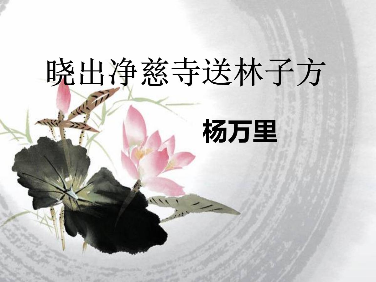 《晓出净慈寺送林子方》PPT课件5