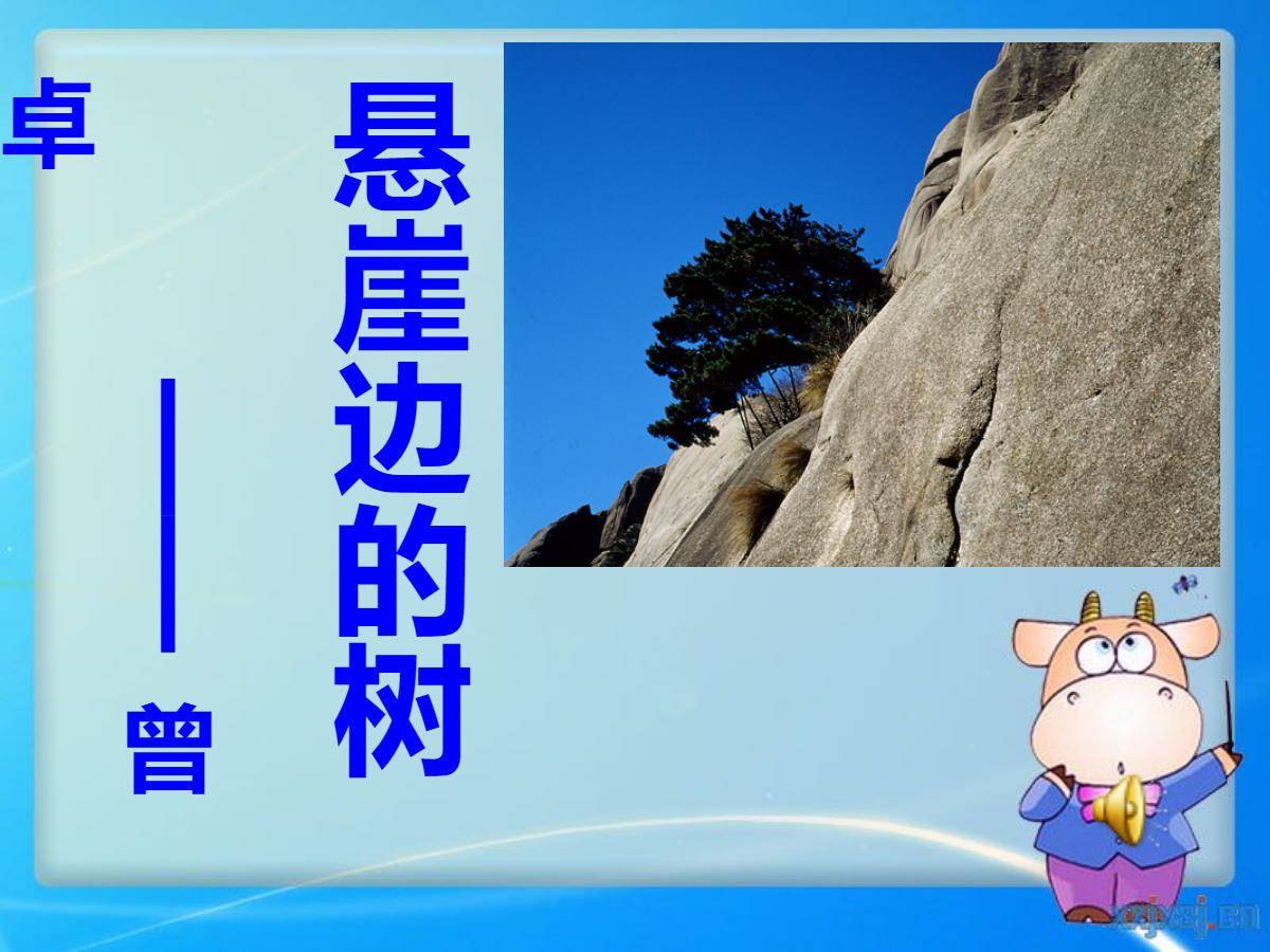 《悬崖边的树》PPT课件