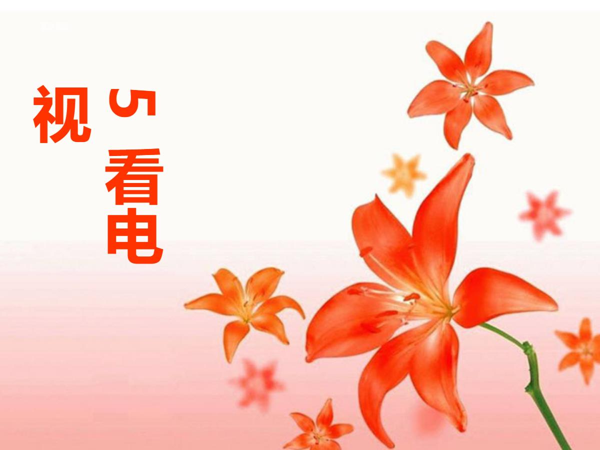 《看电视》PPT课件3