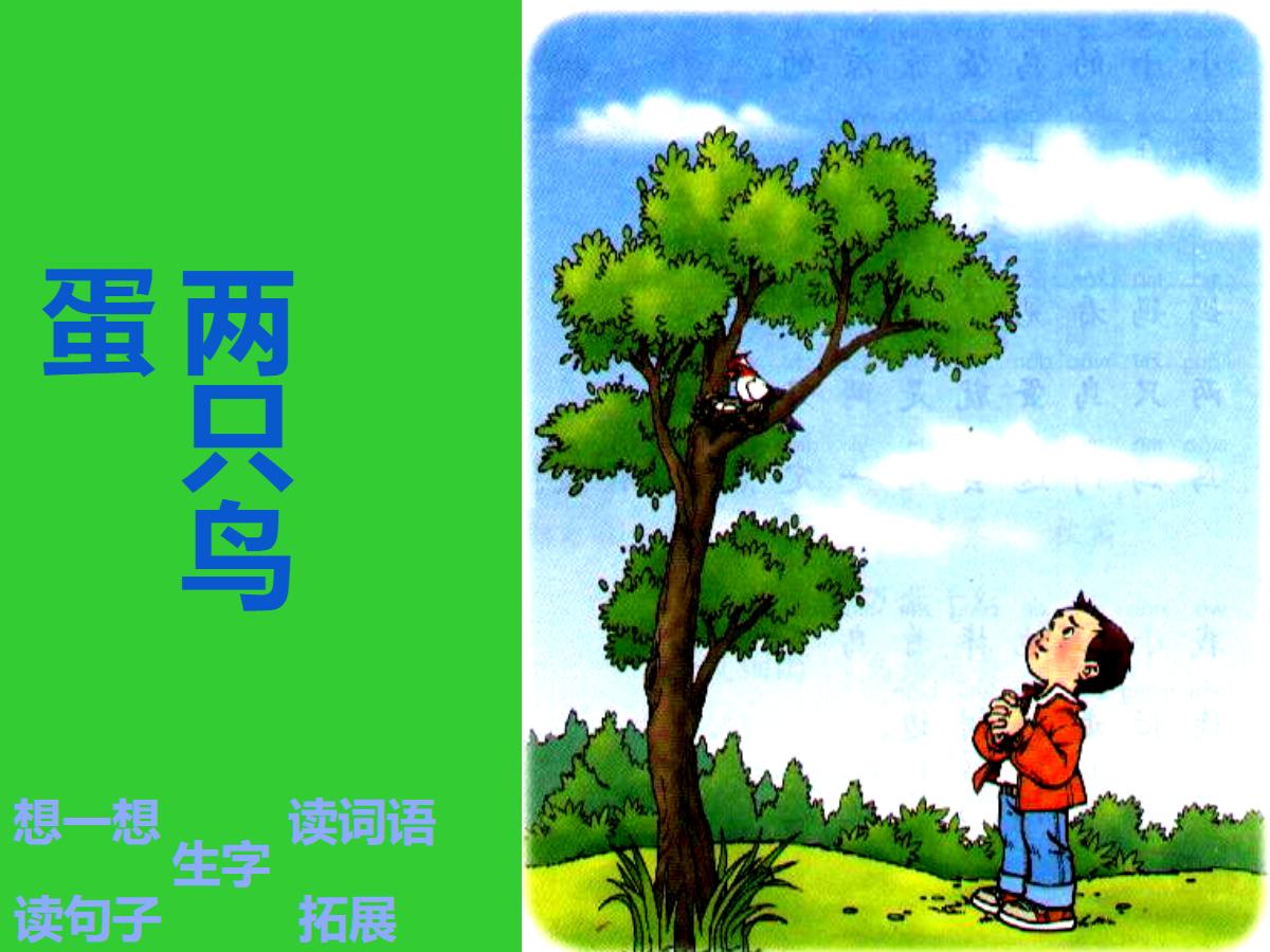 《两只鸟蛋》PPT课件4