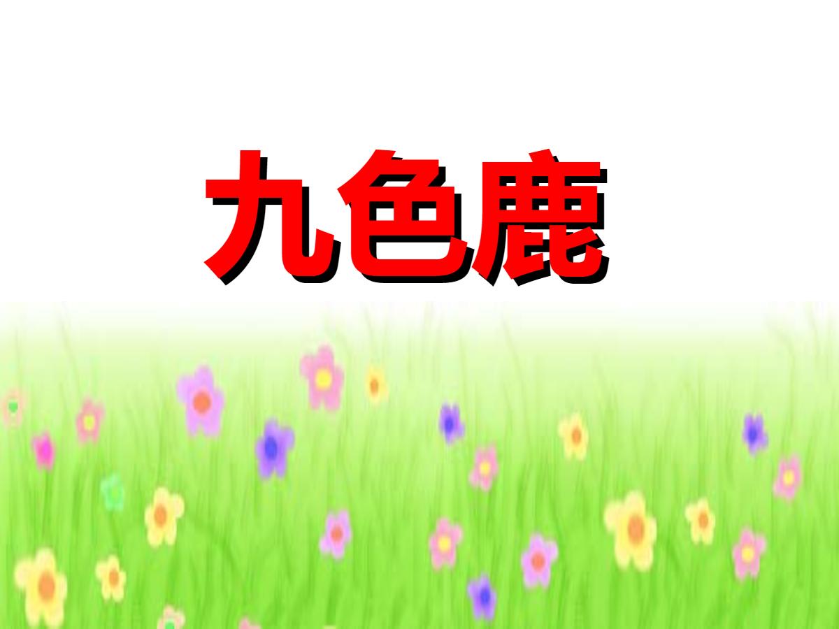 《九色鹿》PPT课件2