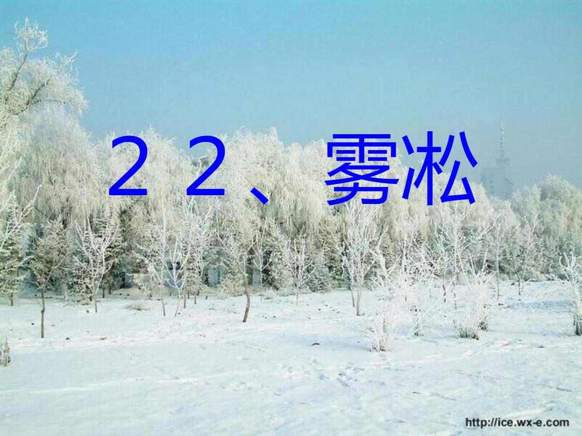 《雾凇》PPT课件2